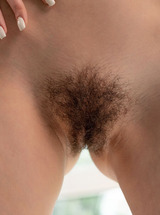 Brandi Belle Serenades With Sultry Music Revealing Her Hairy Pussy And Teasing Perky Breasts photo 15